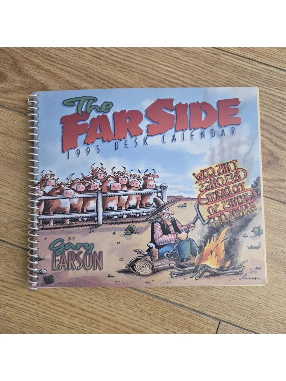 Gary Larson The Far Side Desk Calendar Lot of 3 1994 1995 1998 UNMARKED